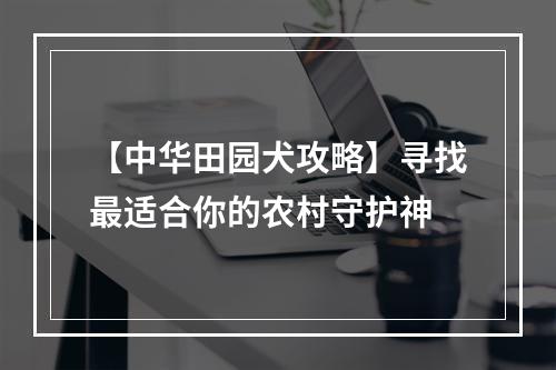 【中华田园犬攻略】寻找最适合你的农村守护神