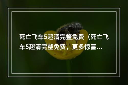 死亡飞车5超清完整免费（死亡飞车5超清完整免费，更多惊喜等你发掘！）