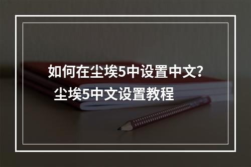 如何在尘埃5中设置中文？  尘埃5中文设置教程