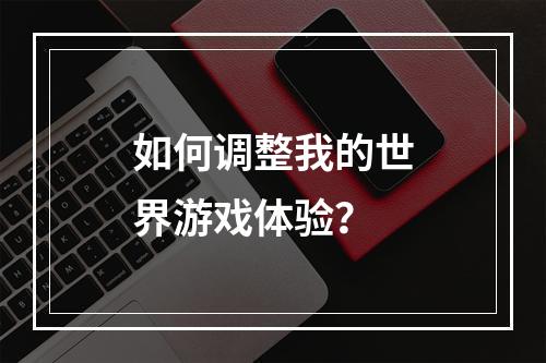 如何调整我的世界游戏体验？