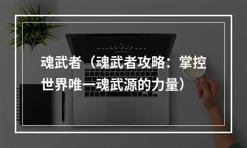 魂武者（魂武者攻略：掌控世界唯一魂武源的力量）