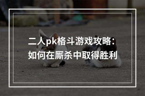 二人pk格斗游戏攻略：如何在厮杀中取得胜利