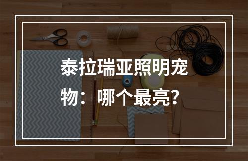 泰拉瑞亚照明宠物：哪个最亮？