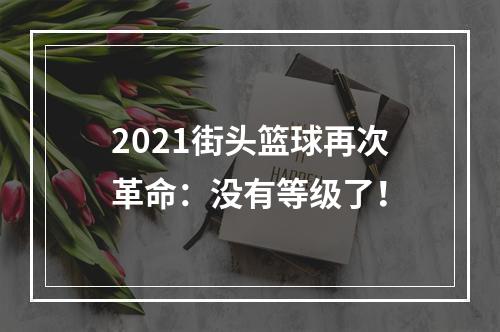 2021街头篮球再次革命：没有等级了！