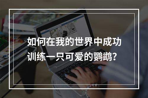 如何在我的世界中成功训练一只可爱的鹦鹉？