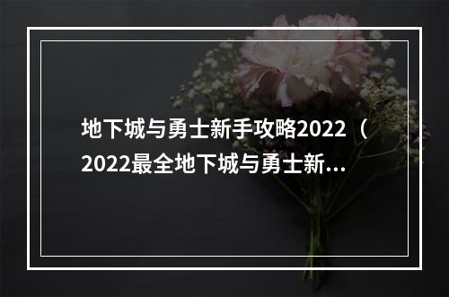 地下城与勇士新手攻略2022（2022最全地下城与勇士新手攻略）