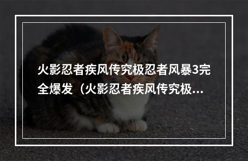 火影忍者疾风传究极忍者风暴3完全爆发（火影忍者疾风传究极忍者风暴3完全爆发：攻略指南）