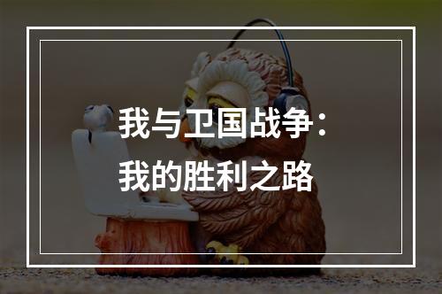 我与卫国战争：我的胜利之路