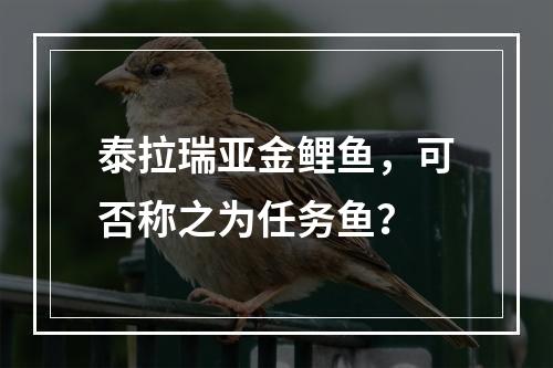 泰拉瑞亚金鲤鱼，可否称之为任务鱼？