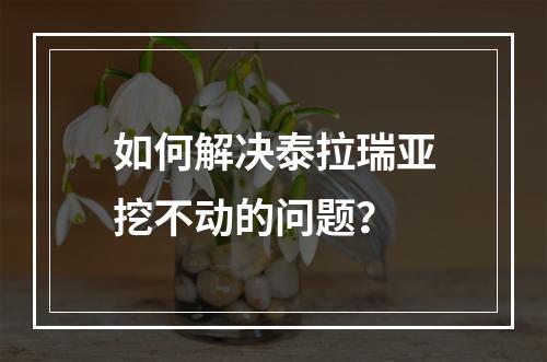 如何解决泰拉瑞亚挖不动的问题？