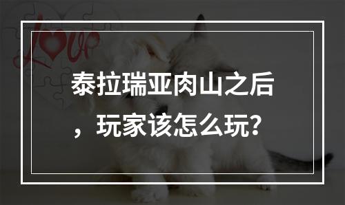 泰拉瑞亚肉山之后，玩家该怎么玩？