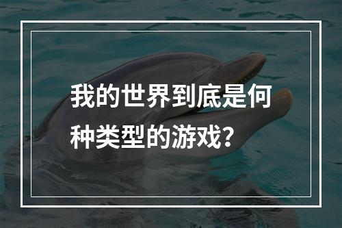 我的世界到底是何种类型的游戏？