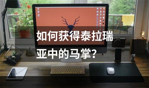 如何获得泰拉瑞亚中的马掌？