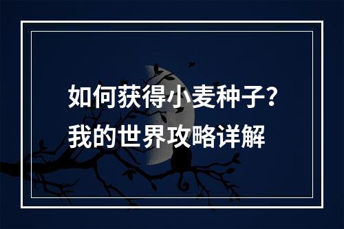 如何获得小麦种子？我的世界攻略详解