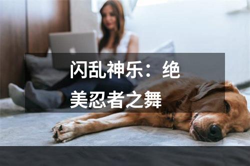 闪乱神乐：绝美忍者之舞