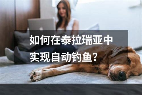 如何在泰拉瑞亚中实现自动钓鱼？