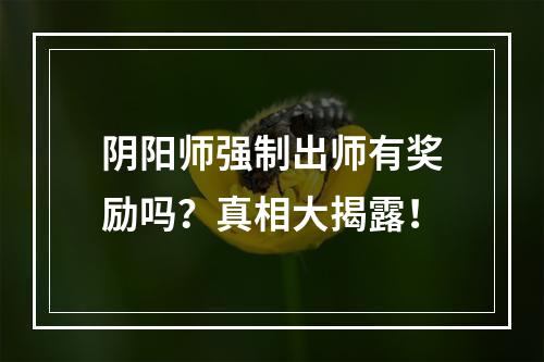 阴阳师强制出师有奖励吗？真相大揭露！