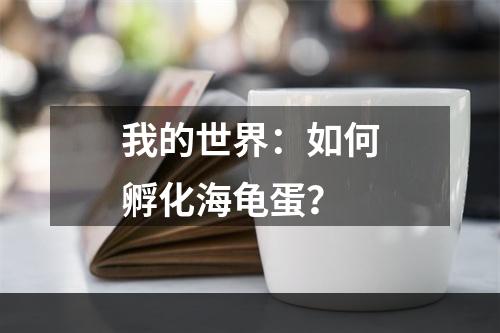 我的世界：如何孵化海龟蛋？