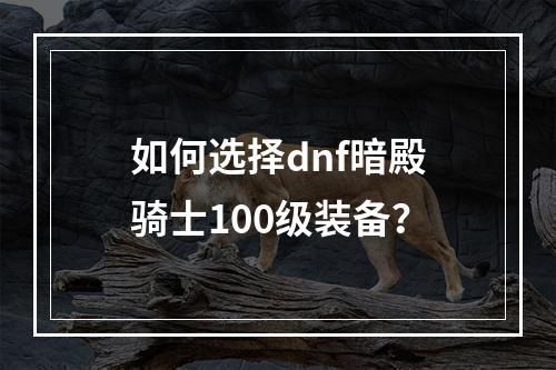 如何选择dnf暗殿骑士100级装备？