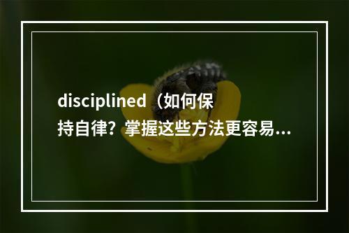 disciplined（如何保持自律？掌握这些方法更容易实现你的目标！）