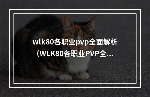 wlk80各职业pvp全面解析（WLK80各职业PVP全面解析：打造你的强大角色）