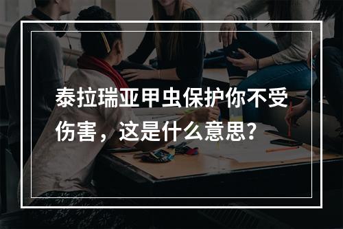 泰拉瑞亚甲虫保护你不受伤害，这是什么意思？