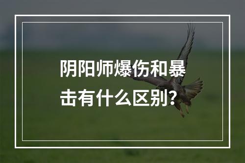 阴阳师爆伤和暴击有什么区别？