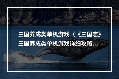 三国养成类单机游戏（《三国志》三国养成类单机游戏详细攻略）