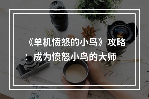 《单机愤怒的小鸟》攻略：成为愤怒小鸟的大师