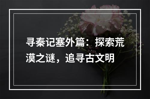 寻秦记塞外篇：探索荒漠之谜，追寻古文明