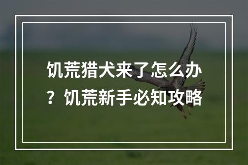 饥荒猎犬来了怎么办？饥荒新手必知攻略