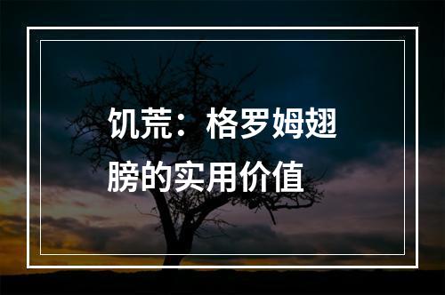 饥荒：格罗姆翅膀的实用价值