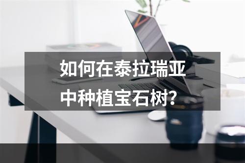 如何在泰拉瑞亚中种植宝石树？