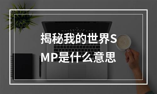 揭秘我的世界SMP是什么意思