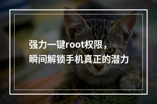 强力一键root权限，瞬间解锁手机真正的潜力