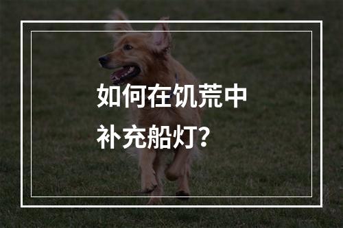 如何在饥荒中补充船灯？