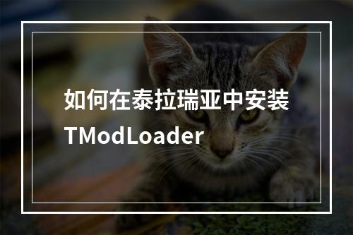 如何在泰拉瑞亚中安装TModLoader