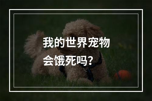 我的世界宠物会饿死吗？