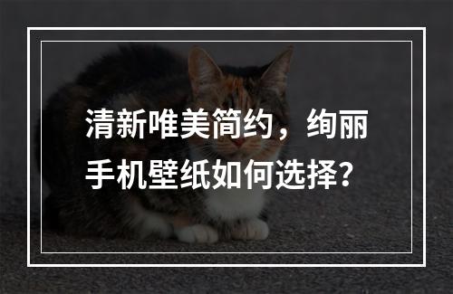 清新唯美简约，绚丽手机壁纸如何选择？