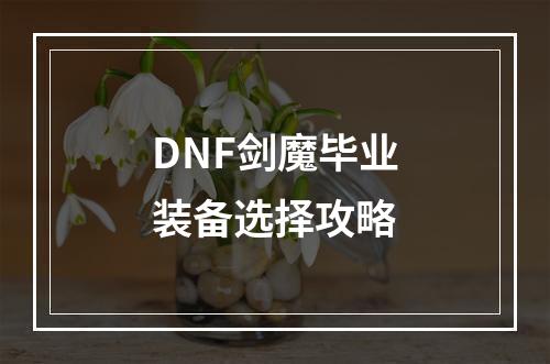 DNF剑魔毕业装备选择攻略