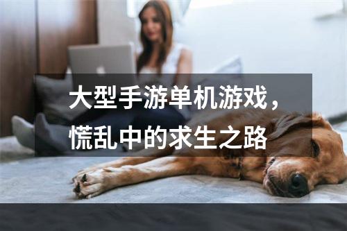 大型手游单机游戏，慌乱中的求生之路