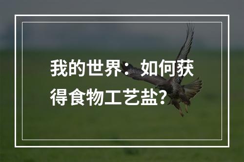 我的世界：如何获得食物工艺盐？