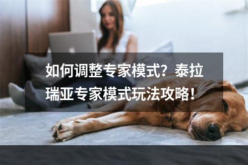 如何调整专家模式？泰拉瑞亚专家模式玩法攻略！