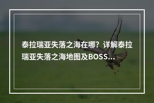 泰拉瑞亚失落之海在哪？详解泰拉瑞亚失落之海地图及BOSS攻略