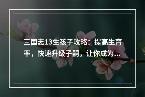 三国志13生孩子攻略：提高生育率，快速升级子嗣，让你成为真正的帝王