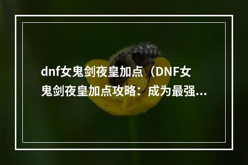 dnf女鬼剑夜皇加点（DNF女鬼剑夜皇加点攻略：成为最强的幽魂主宰！）