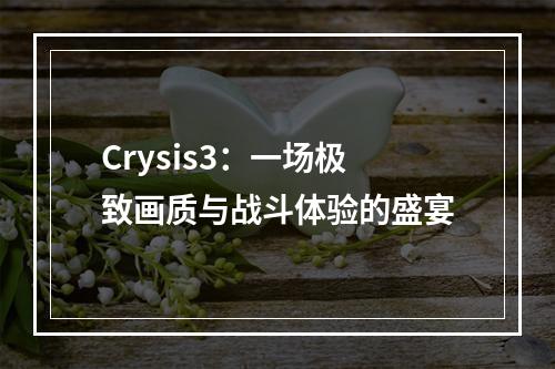 Crysis3：一场极致画质与战斗体验的盛宴