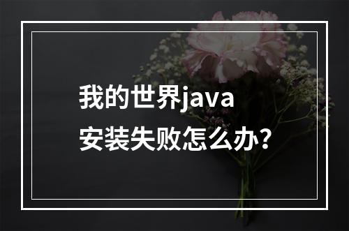 我的世界java安装失败怎么办？