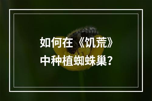 如何在《饥荒》中种植蜘蛛巢？