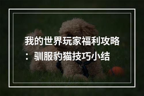 我的世界玩家福利攻略：驯服豹猫技巧小结